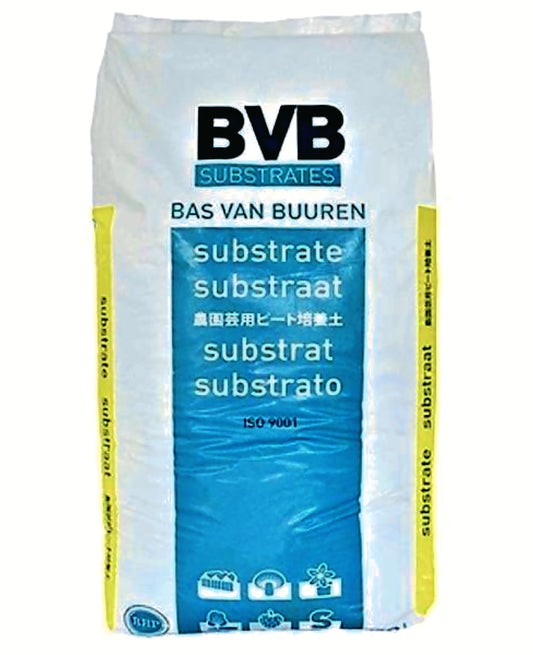 BVB