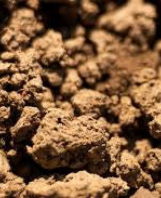 Clay Soils