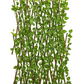 Pothos Expandable Fence