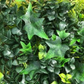 Artificial Ivy Bush