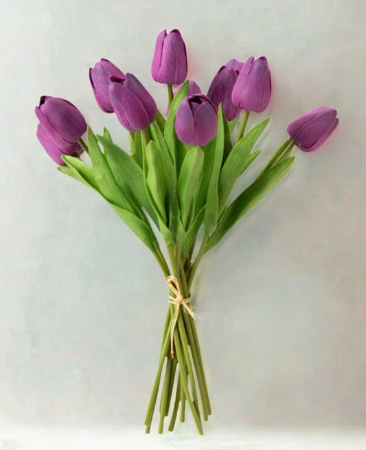 Tulip