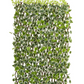 English Ivy Expandable Fence