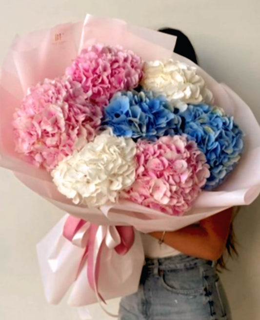 Mixed Hydrangea