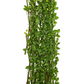Pothos Expandable Fence