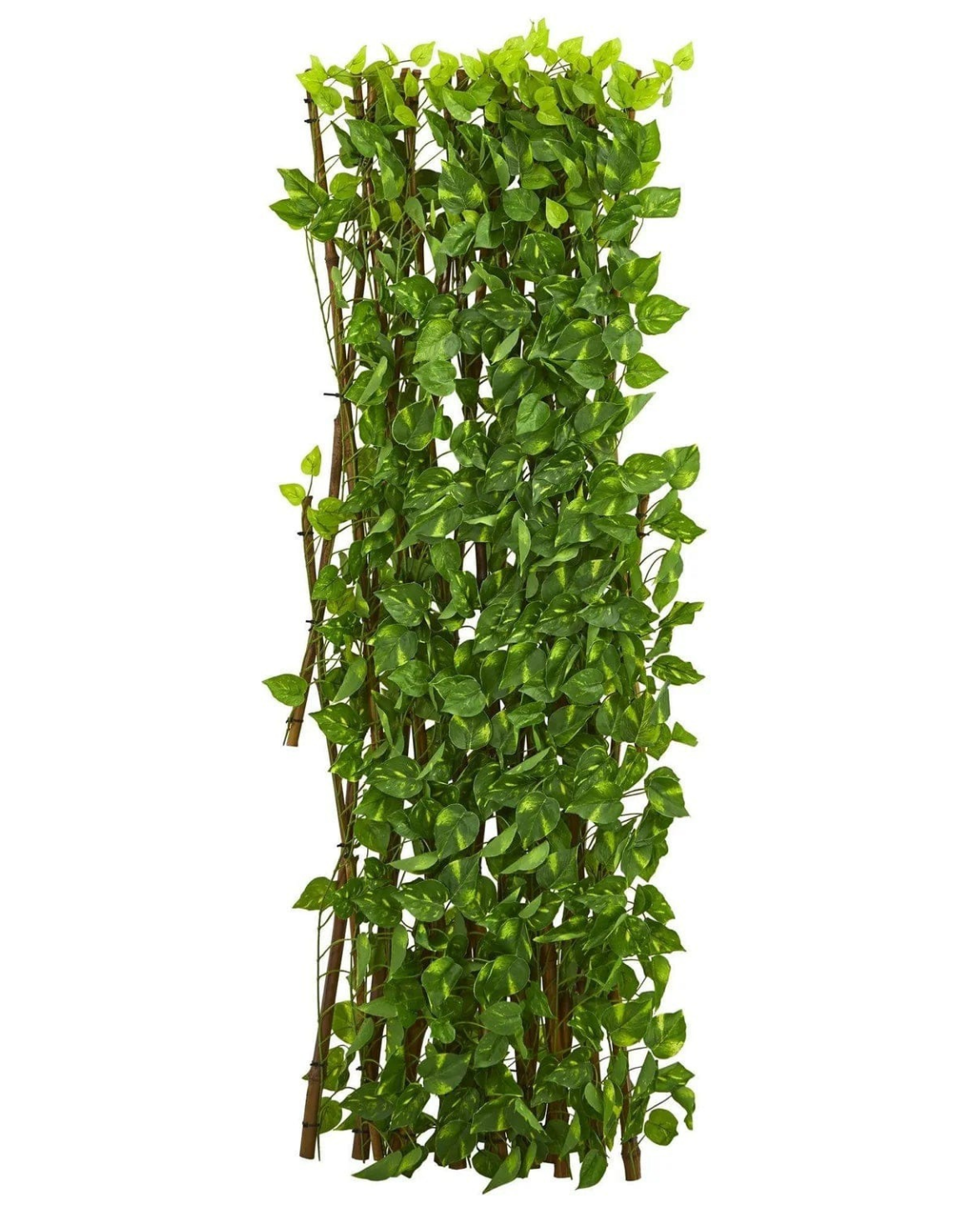Pothos Expandable Fence