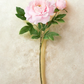 Peony