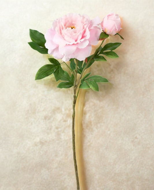 Peony