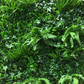 Artificial Instant Green Wall Hedge Panel Mixed Plants