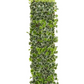 English Ivy Expandable Fence