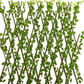 Pothos Expandable Fence