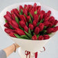 Red Tulip
