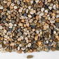 Rhinegold Gravel
