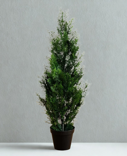 Mini Cedar Pine Tree