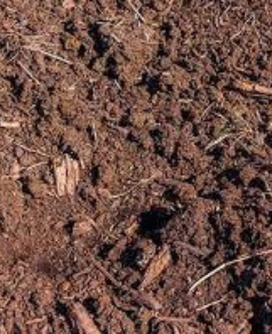 Peat Soils