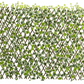 English Ivy Expandable Fence