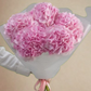 Pink Hydrangea