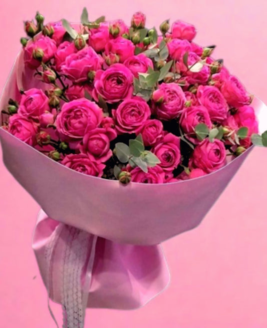 Pink Peony
