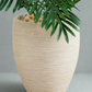 Paradise Palm
