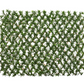Podocarpus Expandable Fence