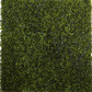 Boxwood Mat