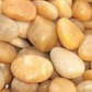 Yellow Pebbles