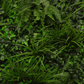 Artificial Instant Green Wall Hedge Panel Mixed Plants